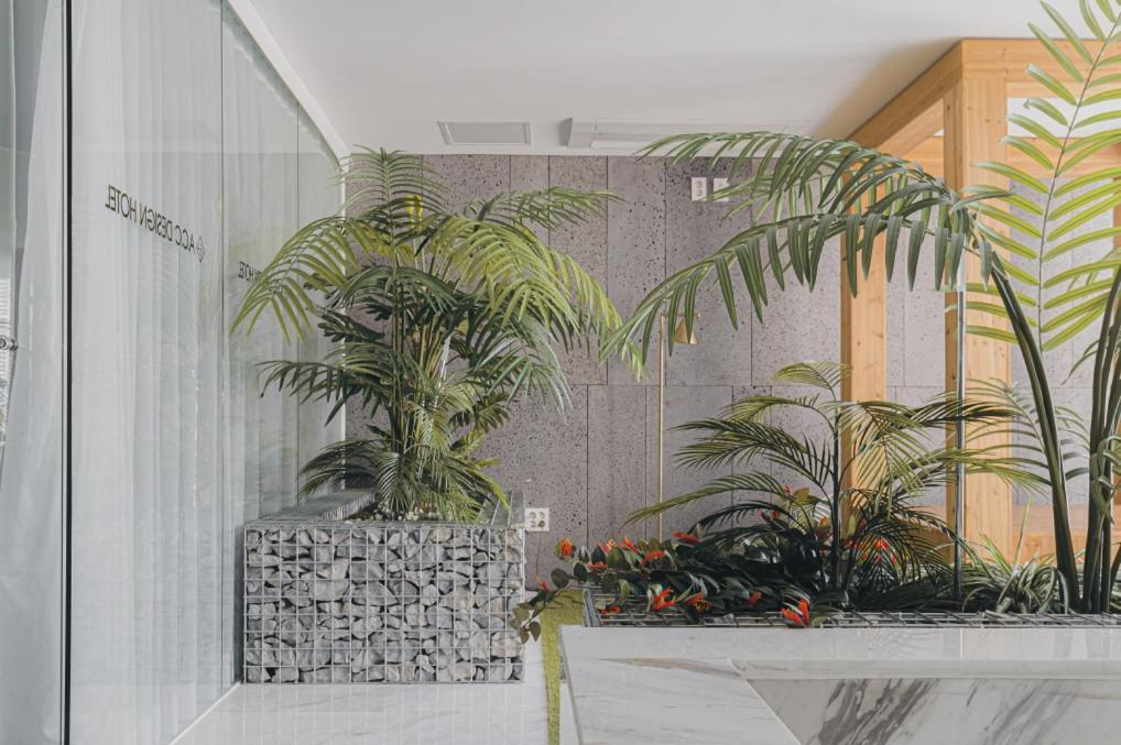 Acc Design Hotel Gwangju Metropolitan City Εξωτερικό φωτογραφία